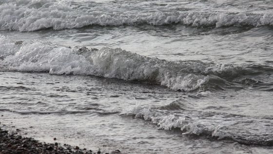 Östersjöns vågor och strand