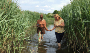 Två kvinnor vadar i ett vattendrag med ett mätinstrument mellan sig